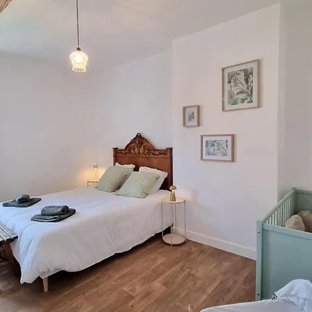 Casa de Férias Marguerite à Saint-haon-le-châtel, Animaux Admis, Wifi, Jardin - Fr-1-496-371 *