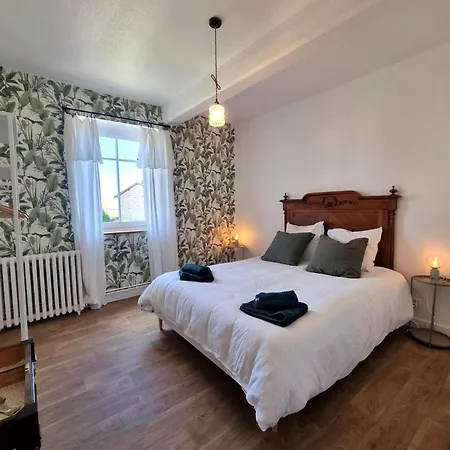Charme Et Confort A Saint-haon-le-chatel, Animaux Admis - Fr-1-496-371 Saint-Haon-le-Châtel